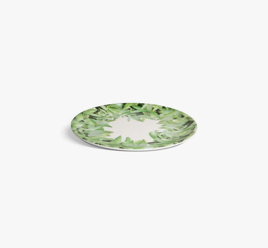 Pura Vida Dinner Plate Set of 4
